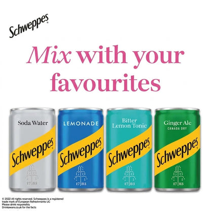 Schweppes Sparkling Ginger Ale 150ml (12 Pack)